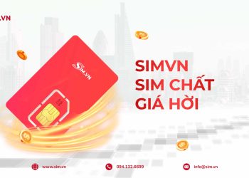 Chọn Mua Sim đầu Số 0997 Tại Simvn: Tìm Hiểu Và Đánh Giá